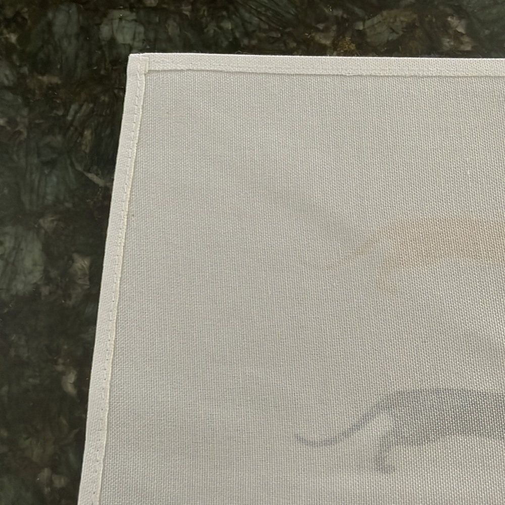 Dachshund place mats set of 4 - Picture 4 of 4
